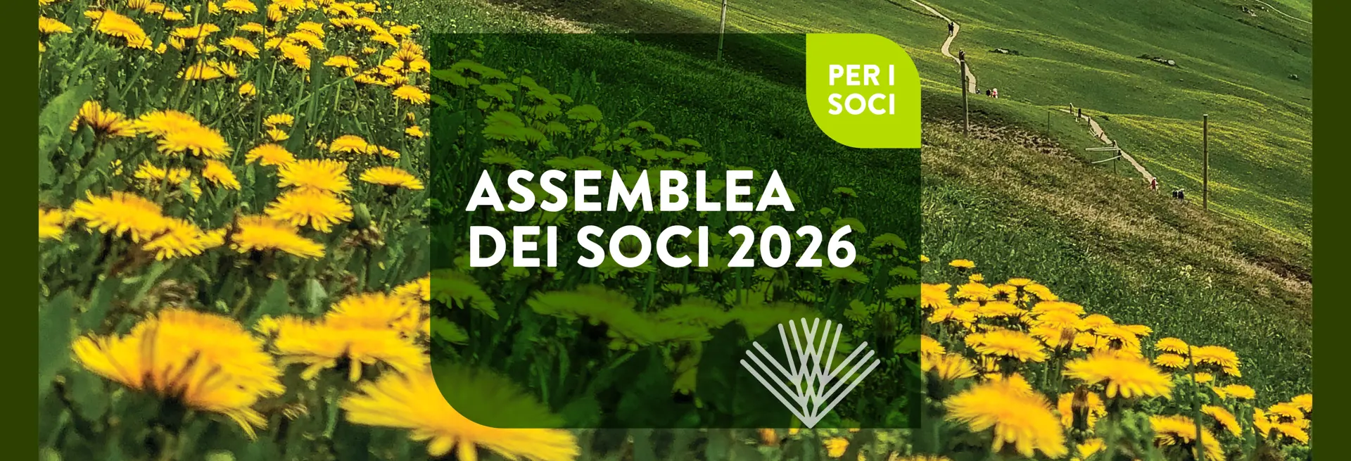 260413 Website Solo Img 1920X1080