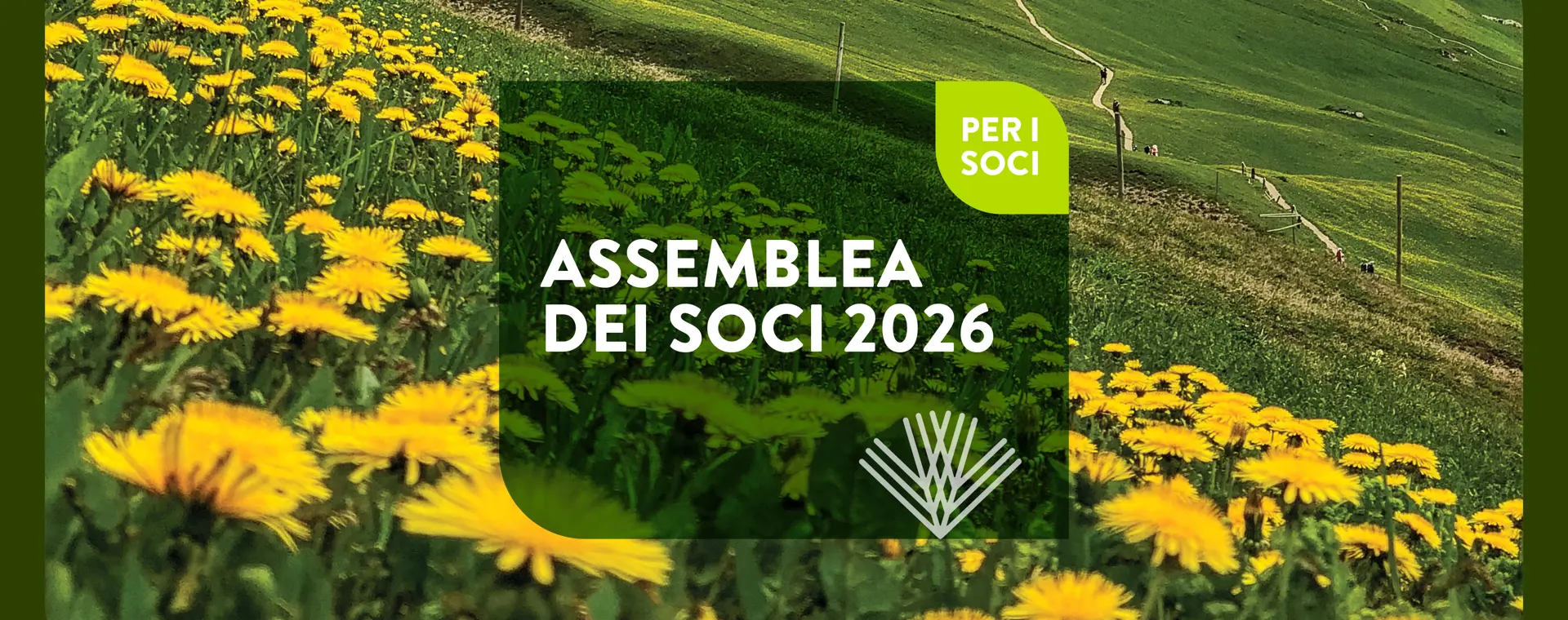 14 maggio 2026, ore 17