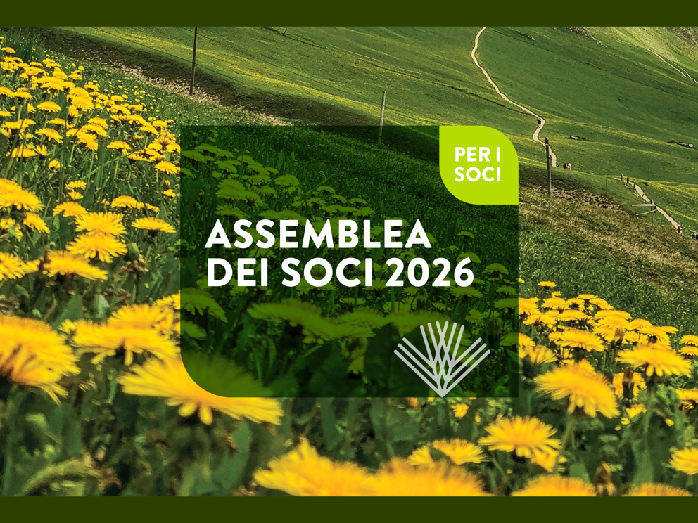 14 maggio 2026, ore 17