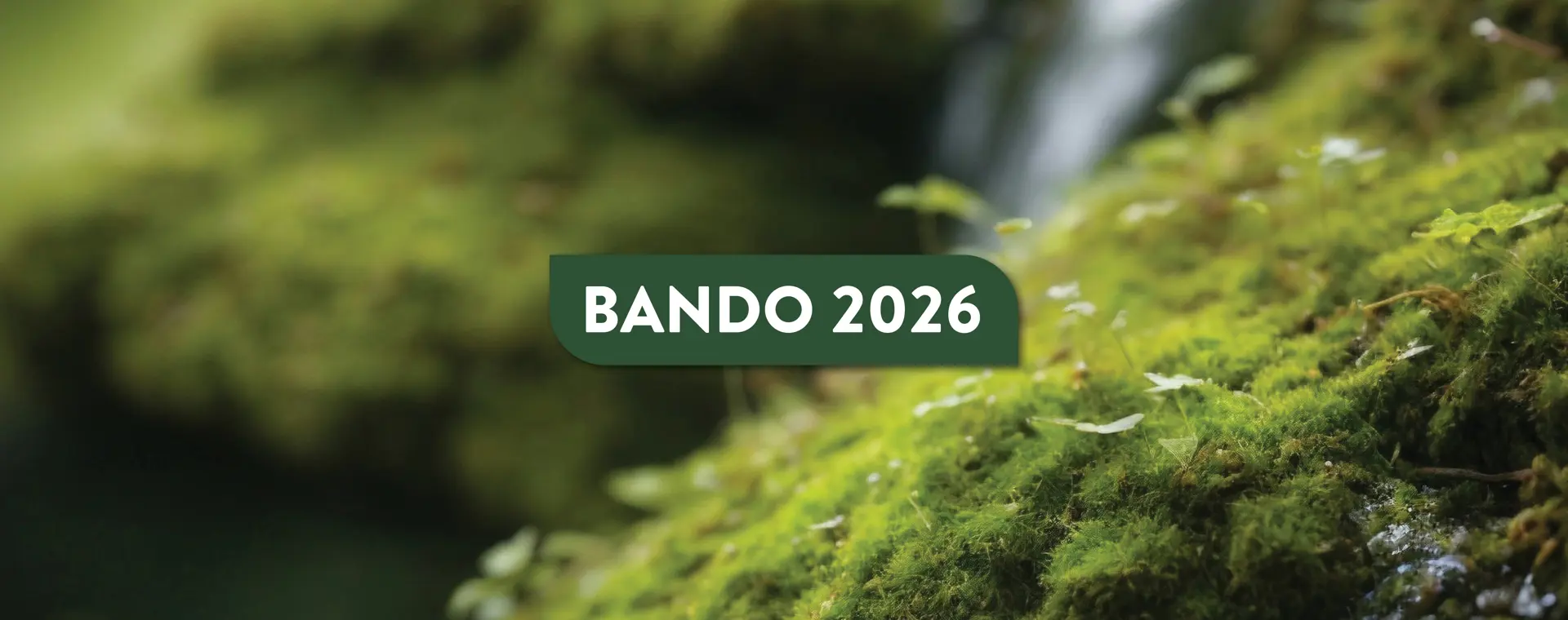 E' aperto il Bando per la concessione di contributi e sponsorizza