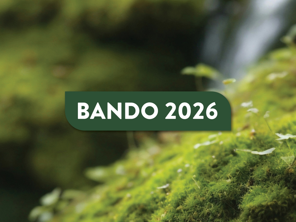 E' aperto il Bando per la concessione di contributi e sponsorizza